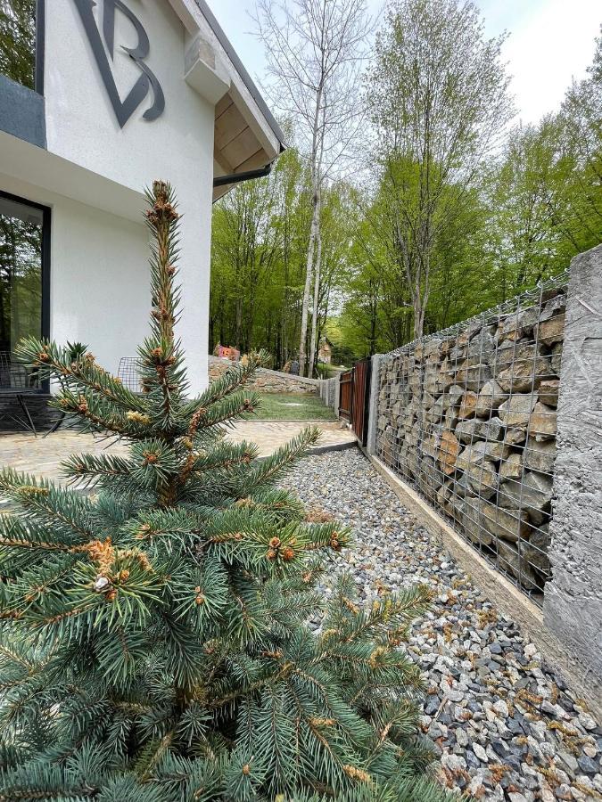 Vila Blanc Valiug Crivaia Екстериор снимка
