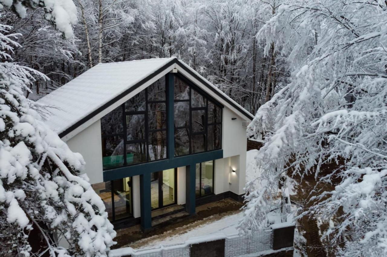 Vila Blanc Valiug Crivaia Екстериор снимка