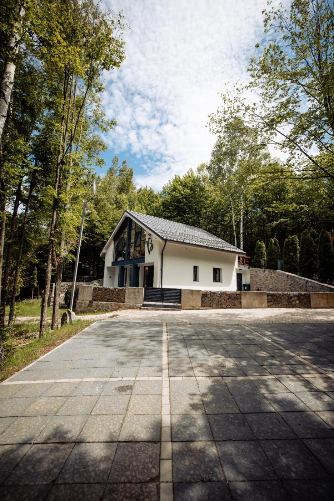 Vila Blanc Valiug Crivaia Екстериор снимка